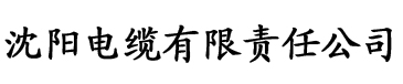 理论福利电影在线观看电缆厂logo